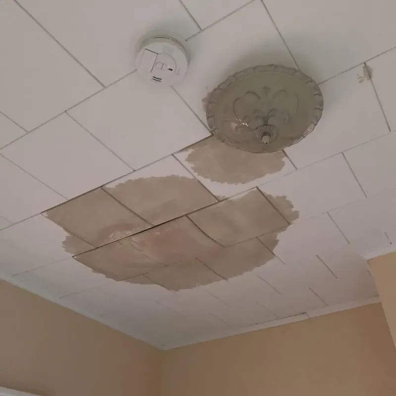 Ceiling Water Damage Repair in Clyde, TX